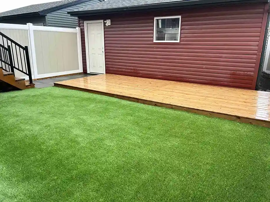 Artificial Turf Image 2