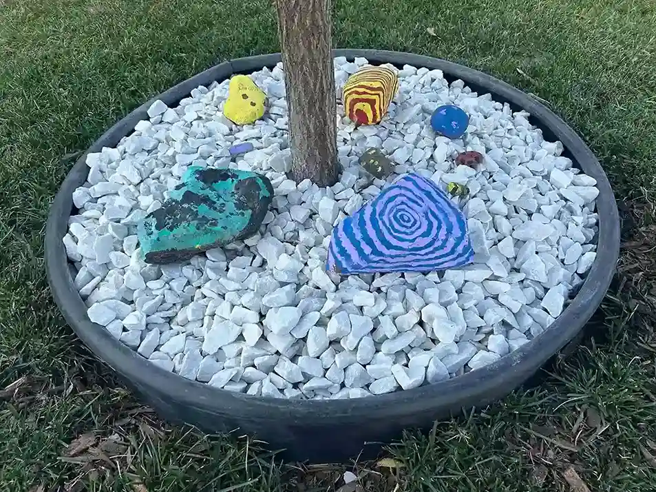 Decorative Rocks